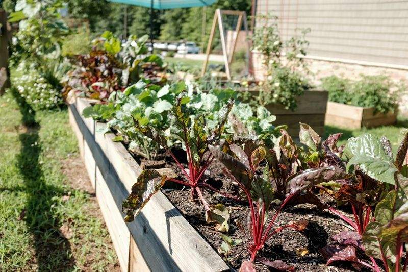 Jardin Harmonie Pro 1