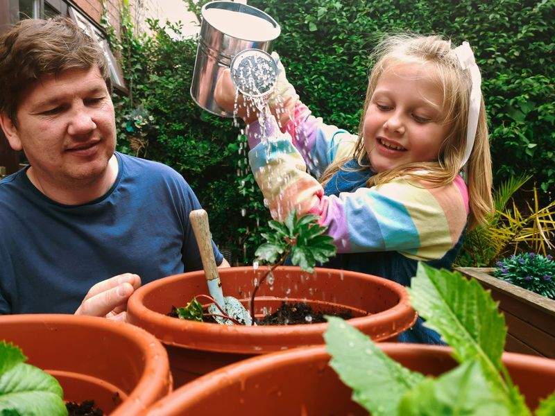 Jardin Harmonie Pro 14
