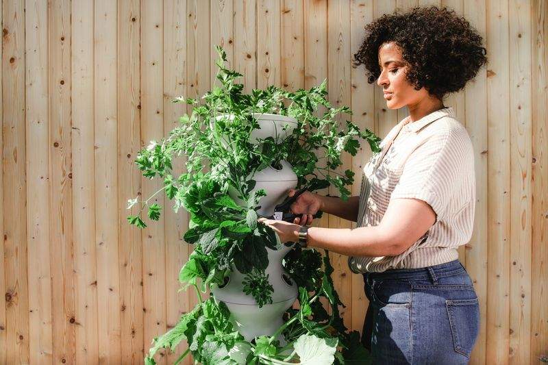Jardin Harmonie Pro 6