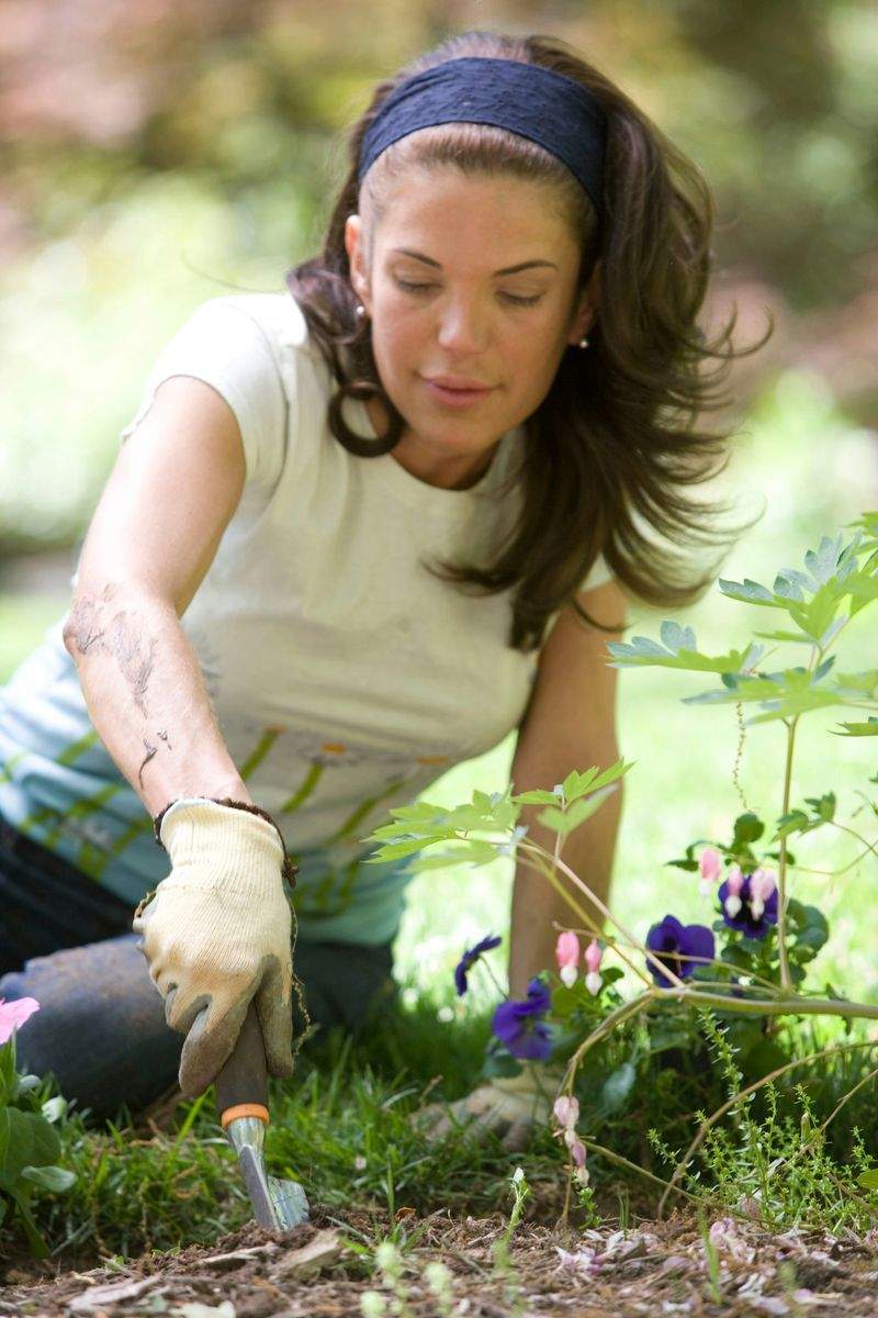 Jardin Harmonie Pro 8